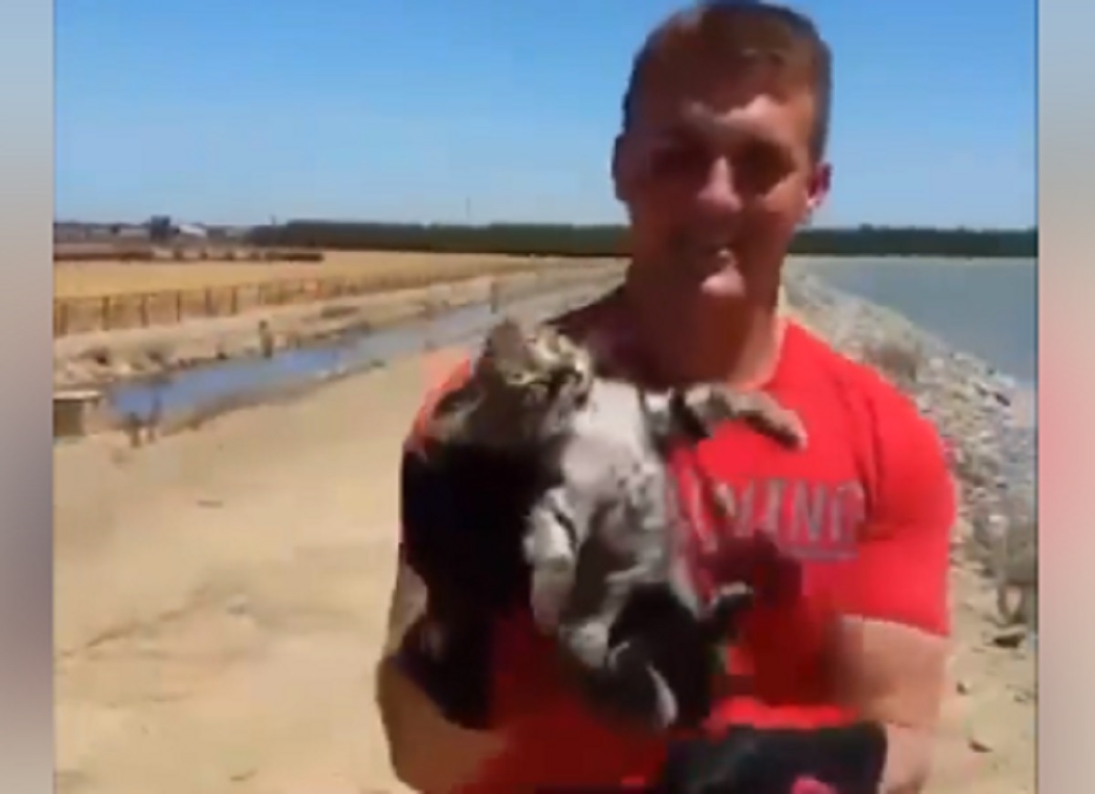 Un ado lance un chaton dans un lac pour s'en dbarrasser et se fait donner une bonne leon par les policiers.