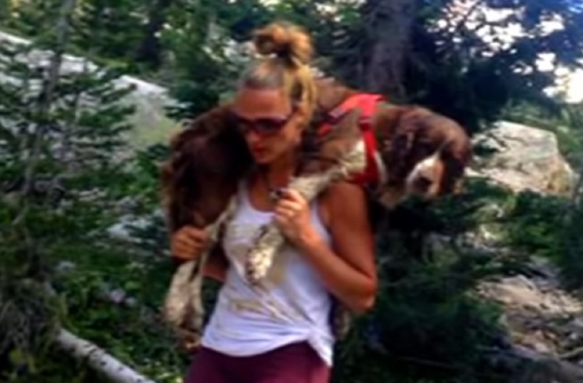 Une femme transporte un chien bless pendant 10 km dans lors d'une randonne en montagne
